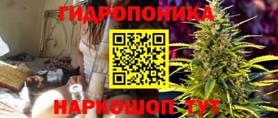 apvp Обнинск