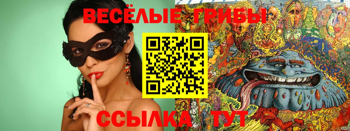 Галлюциногенные грибы MAGIC MUSHROOMS Пугачёв