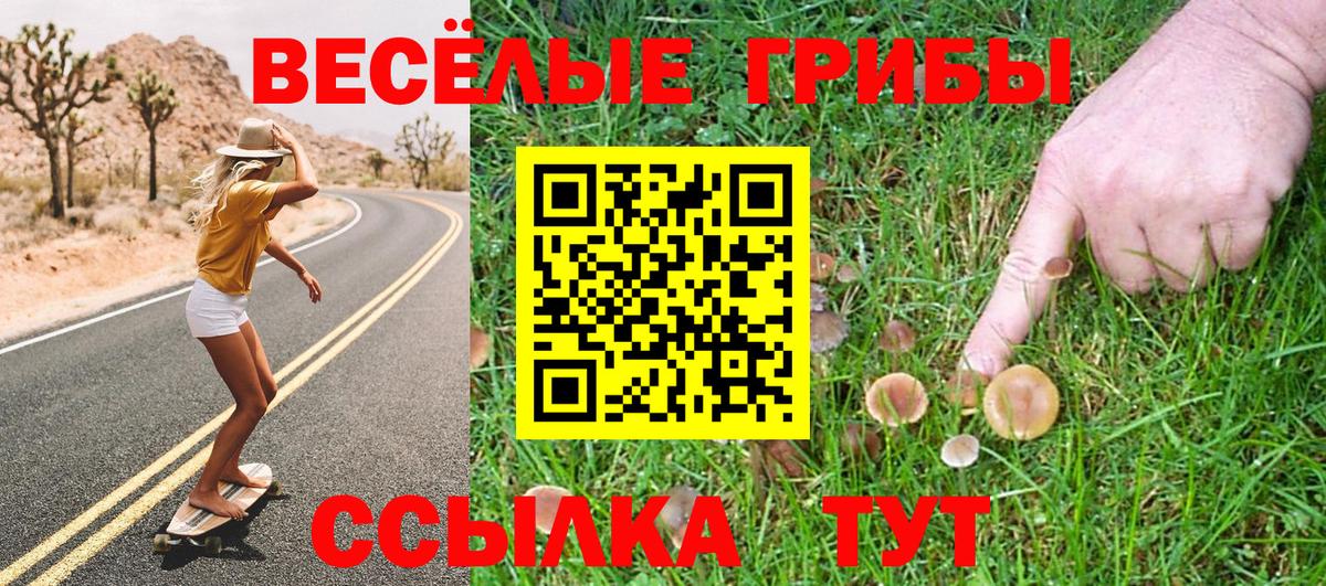 Галлюциногенные грибы Cubensis  Галлюциногенные грибы Magic Shrooms  Пугачёв  Вход с VPN 